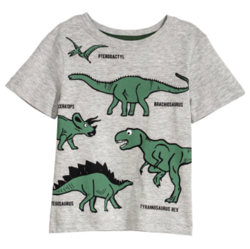 グレーの恐竜プリントTシャツ