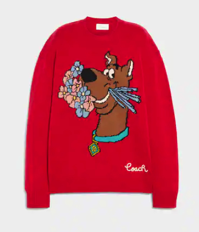 COACH(コーチ)・レッドの犬プリントセーター