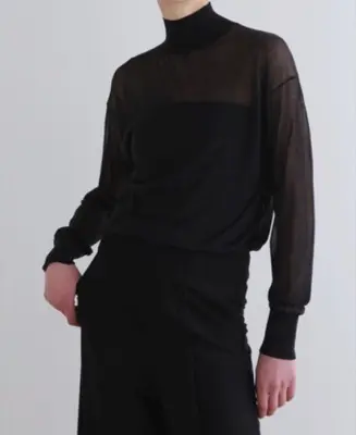 LE PHIL（ルフィル）ブラックのシアーハイネックニット