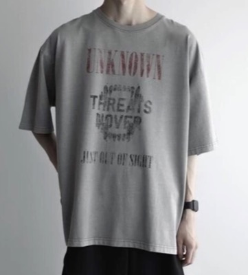 remer（リメール）グレージュのプリントTシャツ