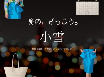 小雪【しあわせな結婚（わせ婚）】ドラマ衣装（ないとうつばさ役）着用ファッション全話まとめ！洋服 バッグ アクセなどの衣装協力ブランドは？洋服・アクセサリー・バッグ・靴・腕時計などドラマ【しあわせな結婚（しあわせなけっこん）略：わせ婚】で小雪（こゆき）さんが演じる内藤つばさ（ないとうつばさ）役に衣装協力されているドラマの服装（ファッション・コーデ）の「ブランド」や「購入先」の情報をまとめています♪
