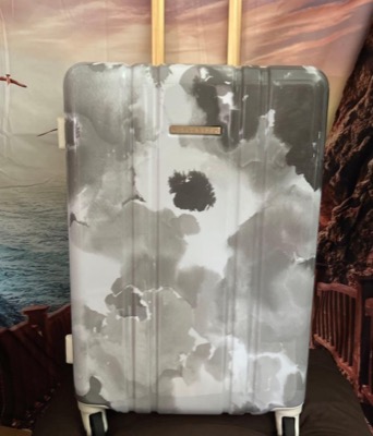 Mercuryduo(マーキュリーデュオ)グレー系のキャリーバッグ