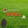 ドラマ【キンパとおにぎり～恋するふたりは似ていてちがう～略：キンおに】で赤楚衛二（あかそえいじ）さんが演じる長谷大河（はせたいが）役に衣装協力されているドラマの服装（ファッション・コーデ）の「ブランド」や「購入先」赤楚衛二【キンパとおにぎり（キンおに）】ドラマ衣装（長谷大河役）着用ファッション全話まとめ！洋服 バッグ 腕時計などの衣装協力ブランドは？洋服・アクセサリー・バッグ・靴・腕時計など