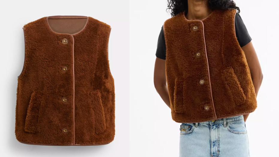 COACH(コーチ)ブラウンのベスト