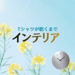 ドラマ【Tシャツが乾くまで】で、ミツル（松山ケンイチ）とサキコ（蒼井優）が暮らす部屋に登場する家具・インテリア・雑貨の「ブランド名」や「購入先」