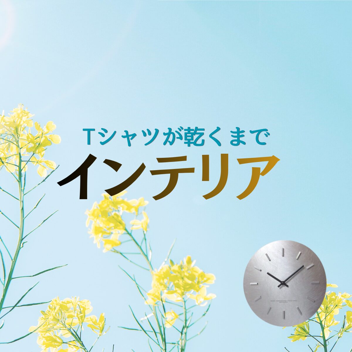 ドラマ【Tシャツが乾くまで】で、ミツル(松山ケンイチ)とサキコ(蒼井優)が暮らす部屋に登場する家具・インテリア・雑貨の「ブランド名」や「購入先」