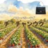 ドラマ【メリーベリーラブ（Merry Berry Love）略：メリベリ】でチ・チャンウク（Ji Chang-wook）さんが演じるイ・ユビン役に衣装協力されているドラマの服装（ファッション・コーデ）の「ブランド」や「購入先」の情報をまとめています♪チ・チャンウク【メリーベリーラブ（メリベリ）】ドラマ衣装（イ・ユビン役）着用ファッション全話まとめ！洋服 バッグ 腕時計などの衣装協力ブランドは？洋服・アクセサリー・バッグ・靴・腕時計など